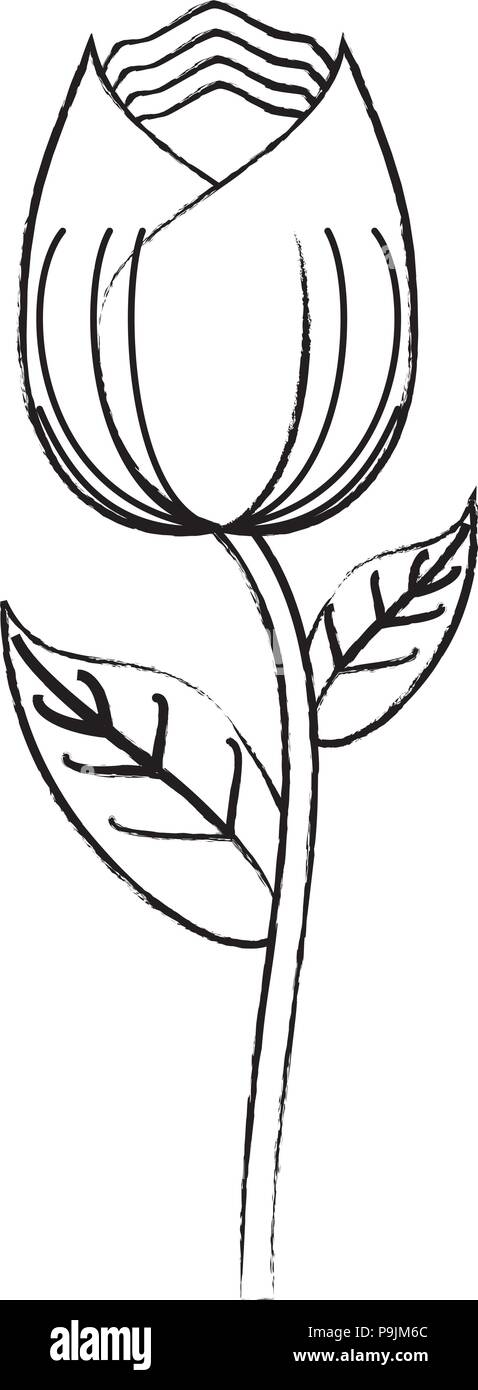 rose icon over white background, vector illustration Stock Vector Image ...