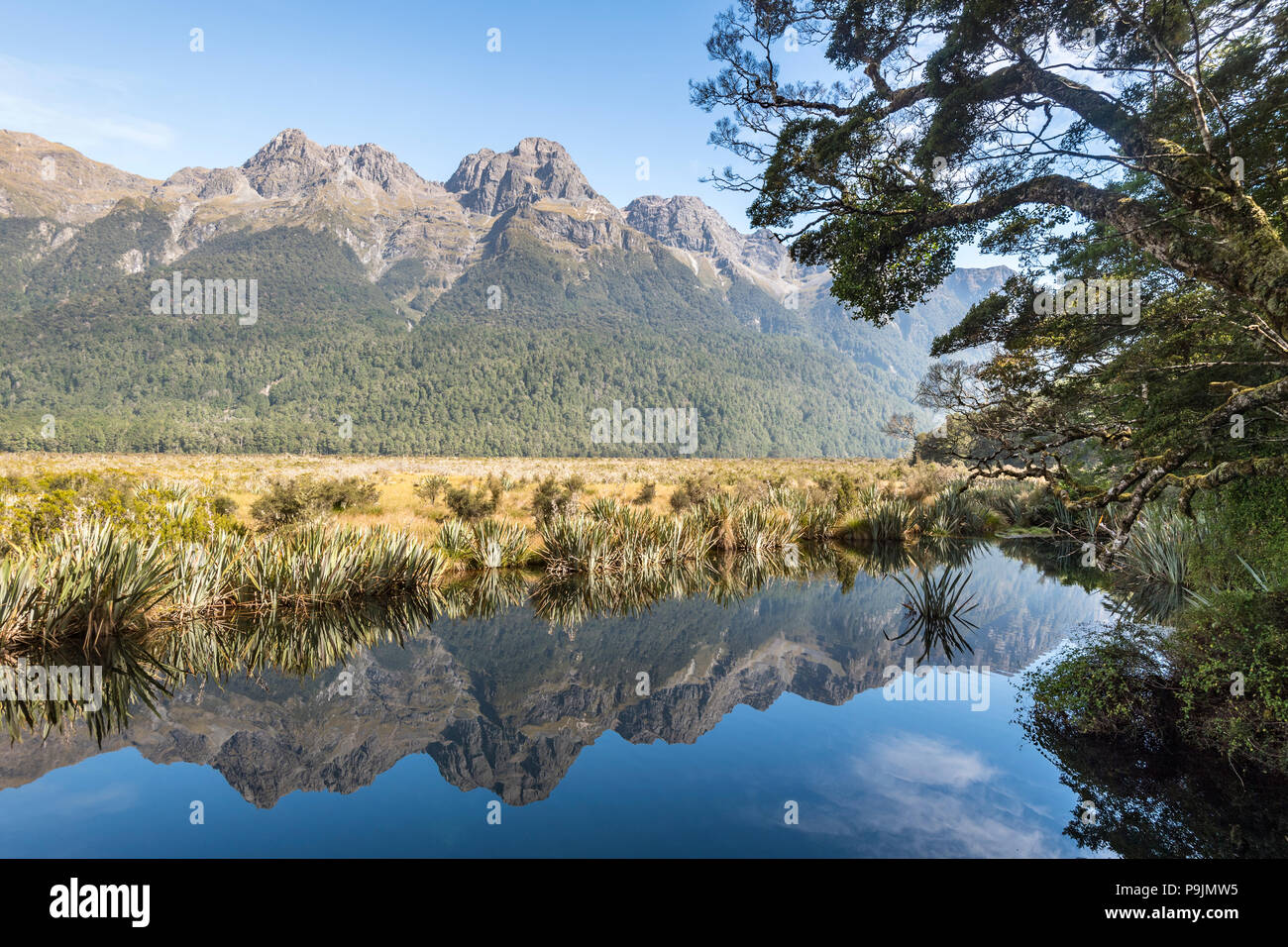 Mirror Lake with water reflections of the mountains, Fiordland National Park, Milford Highway, Southland, New Zealand Stock Photo