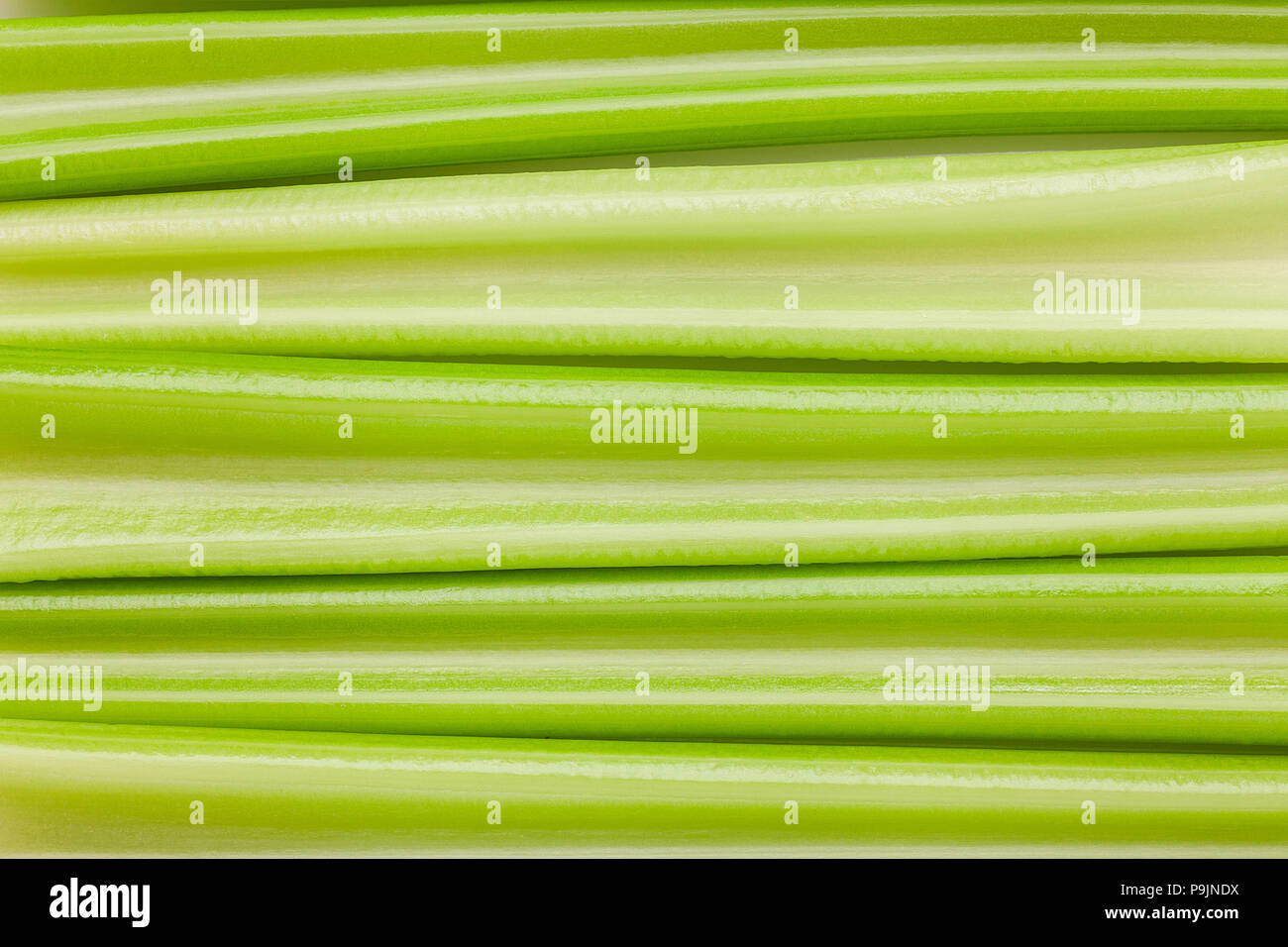 celery background, full depth of field Stock Photo