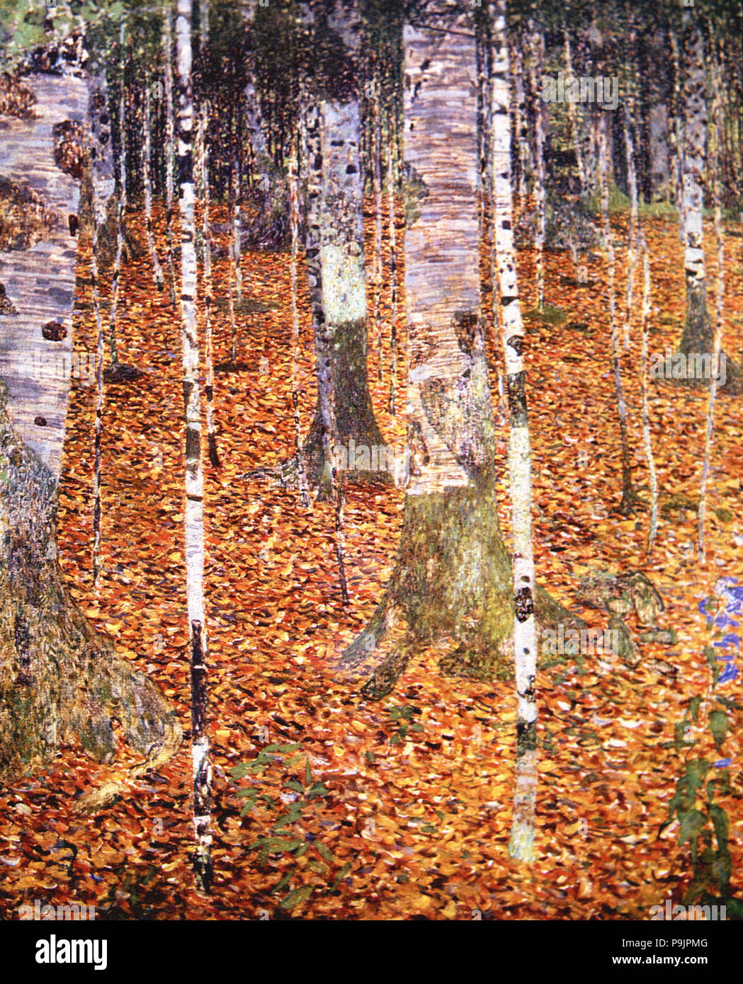 'The birch forest', 1903 by Gustav Klimt. Stock Photo
