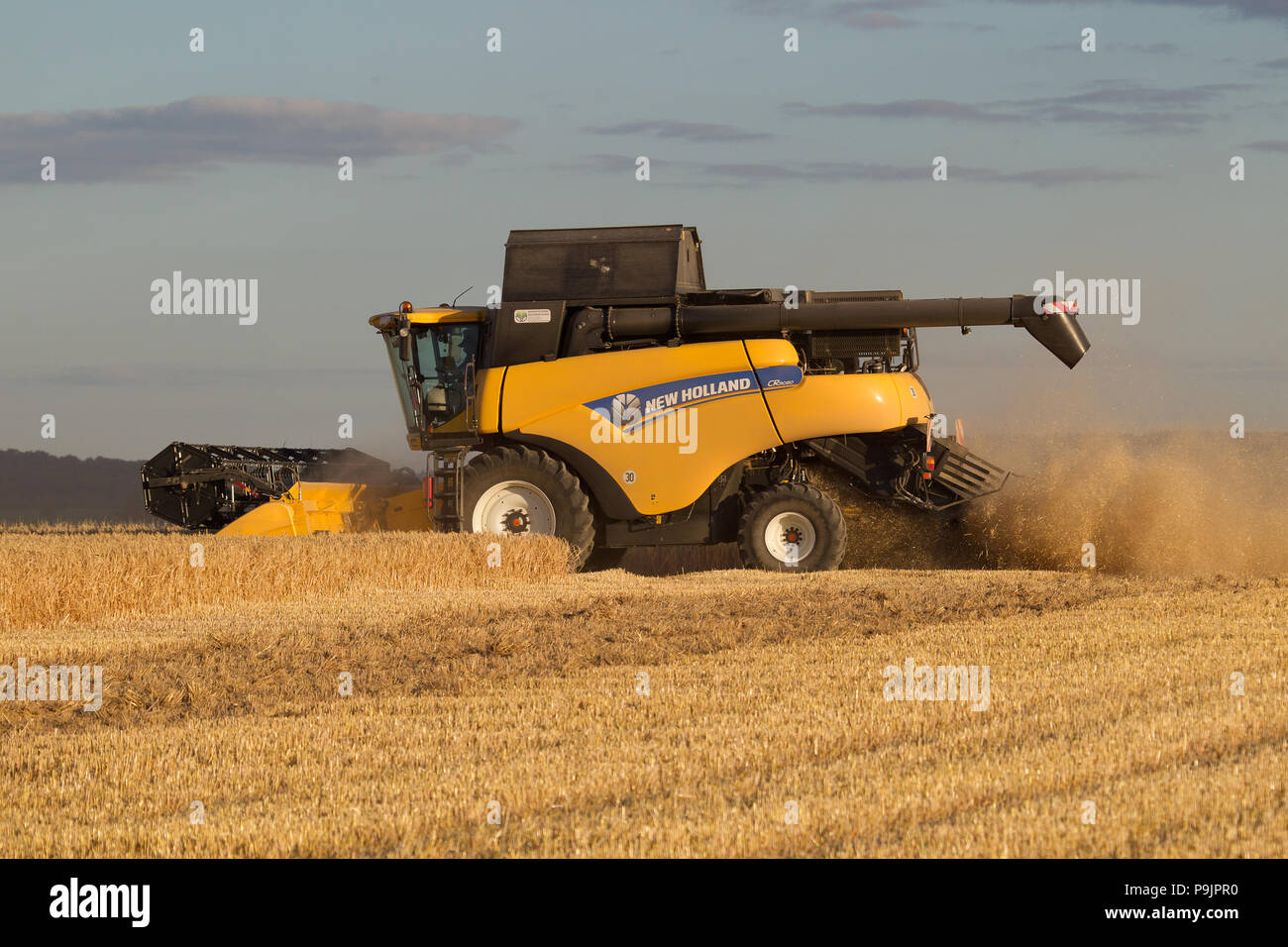 Harvester harvests barley on a field, grain harvest, Saxony, Germany Stock Photo