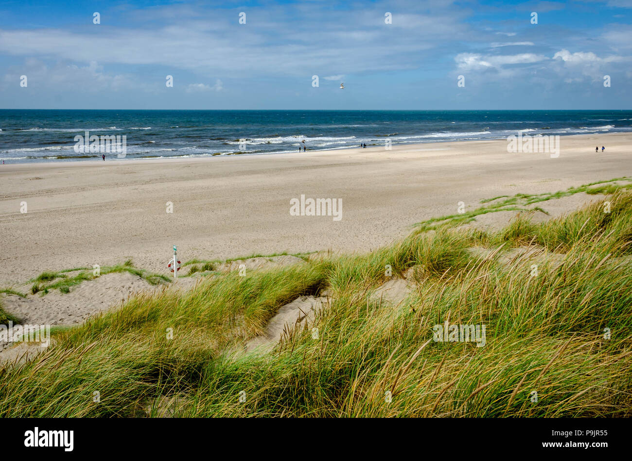 Gulerod intelligens Fortov The Beach in Henne Strand Blue Sky Stock Photo - Alamy