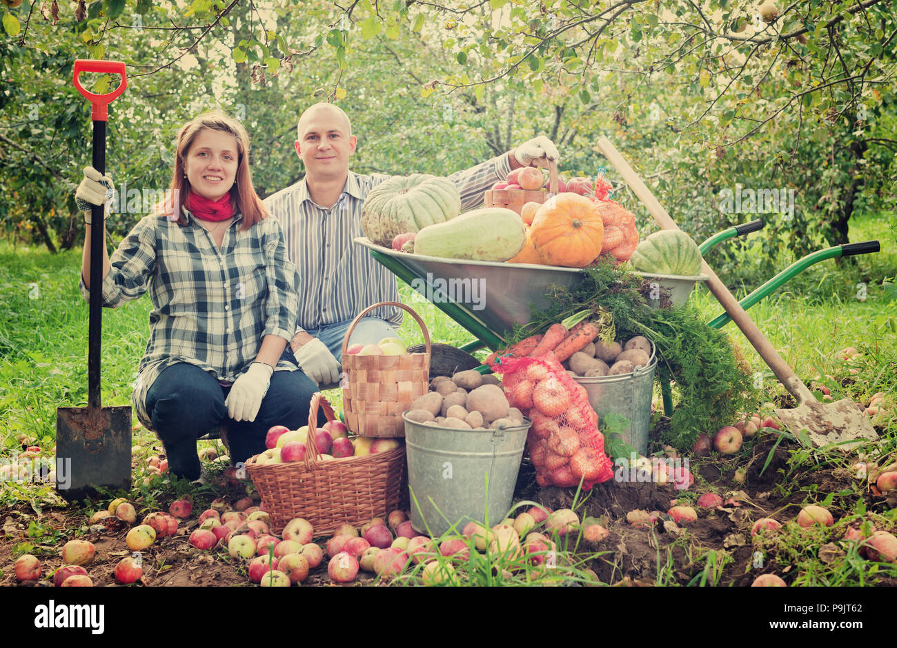 Happy couple with harvested vegetables in garden Stock Photo - Alamy