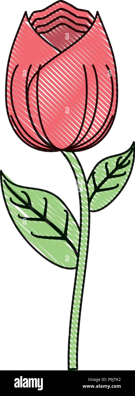 rose icon over white background, vector illustration Stock Vector Image ...