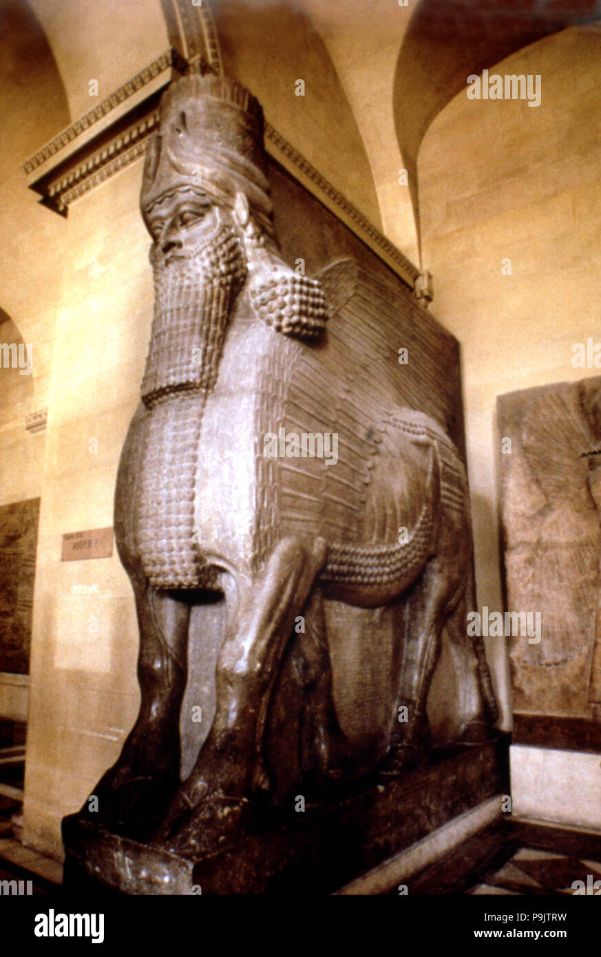 Man-headed bull, gatekeeper of Sargon II at Khorsabad dated about 722 BC. Stock Photo