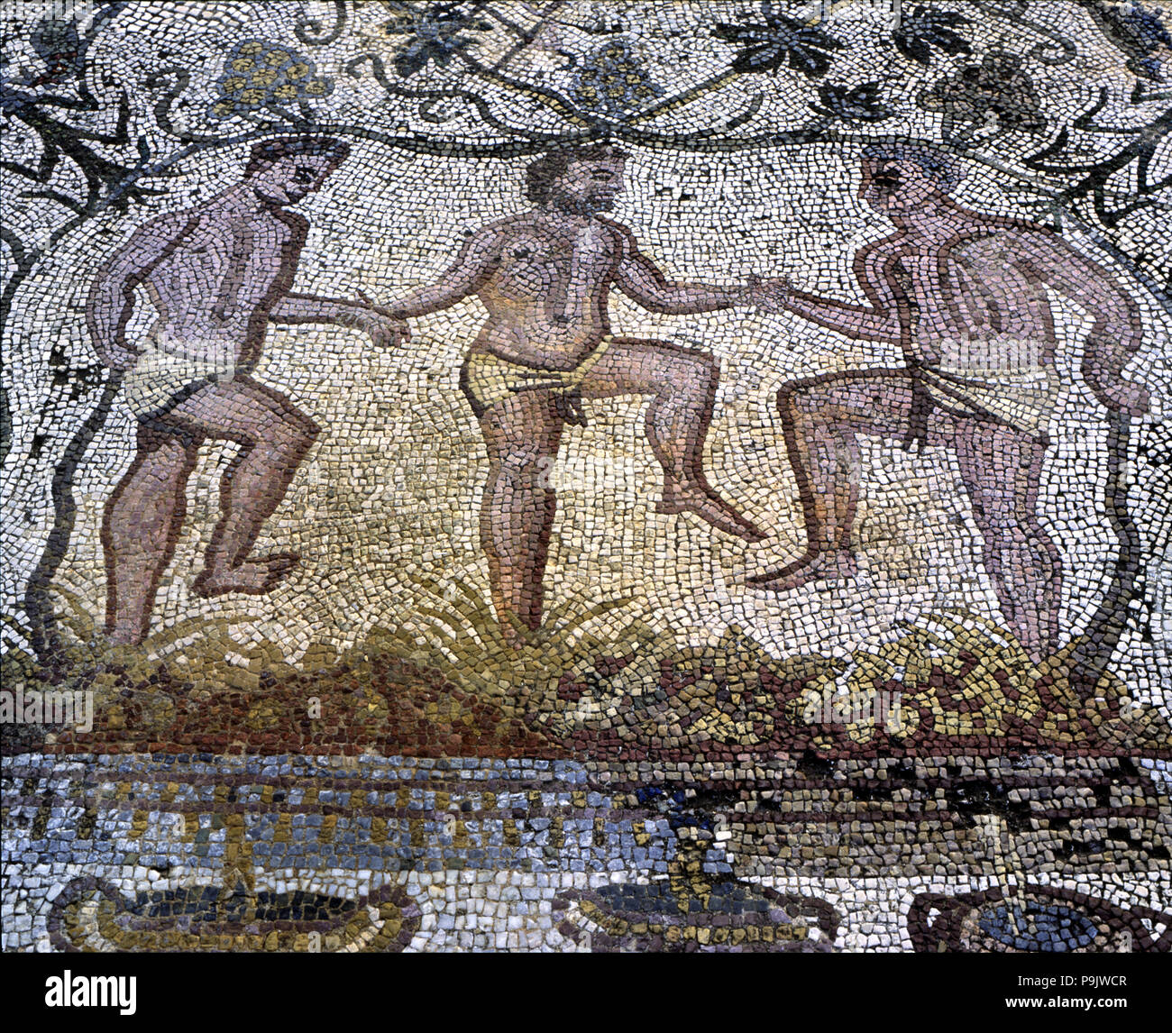 Mosaic in the Amphitheatre house representing treading grapes, preserved in the archaeological si… Stock Photo