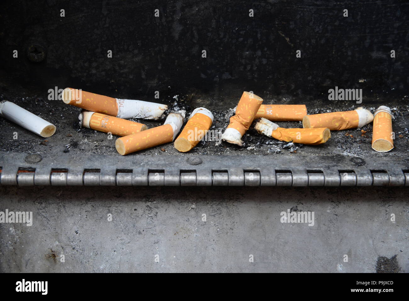 Cigarette stubs in public ashtray Stock Photo