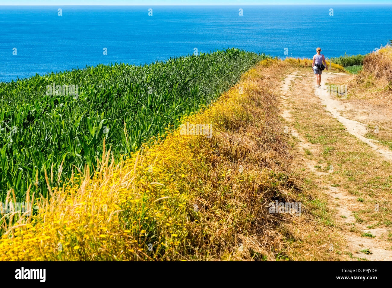 Female walking on the north coast of Sao Miguel, The Azores Stock Photo