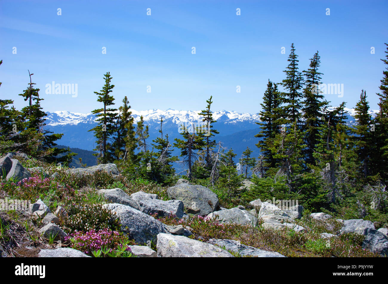Beautiful sceneries from Whistler in Summer Stock Photo