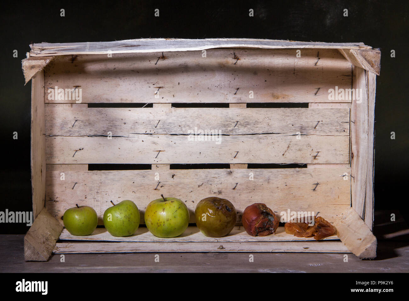 Rotting apple sequence hi-res stock photography and images - Alamy