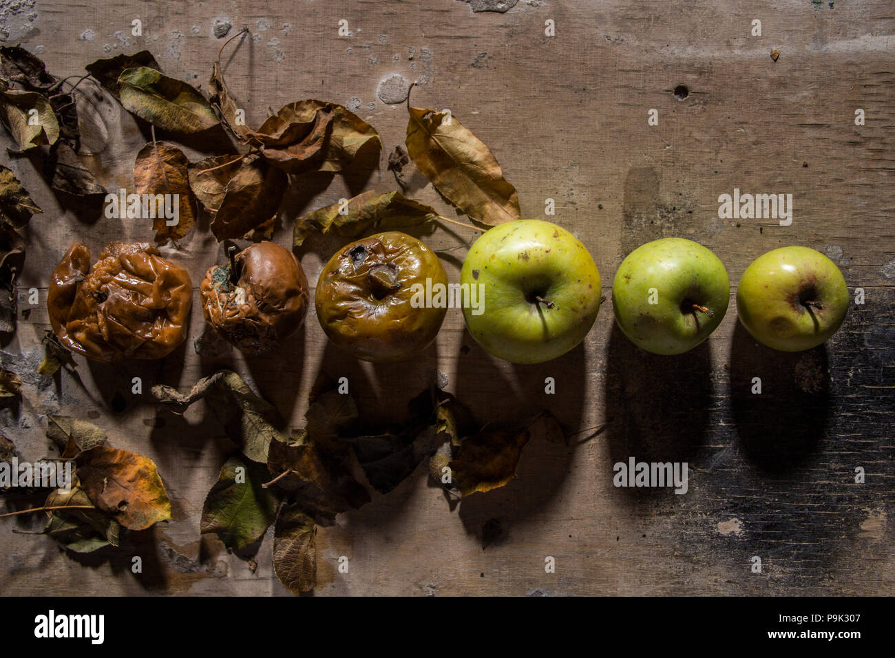 Rotting apple sequence hi-res stock photography and images - Alamy