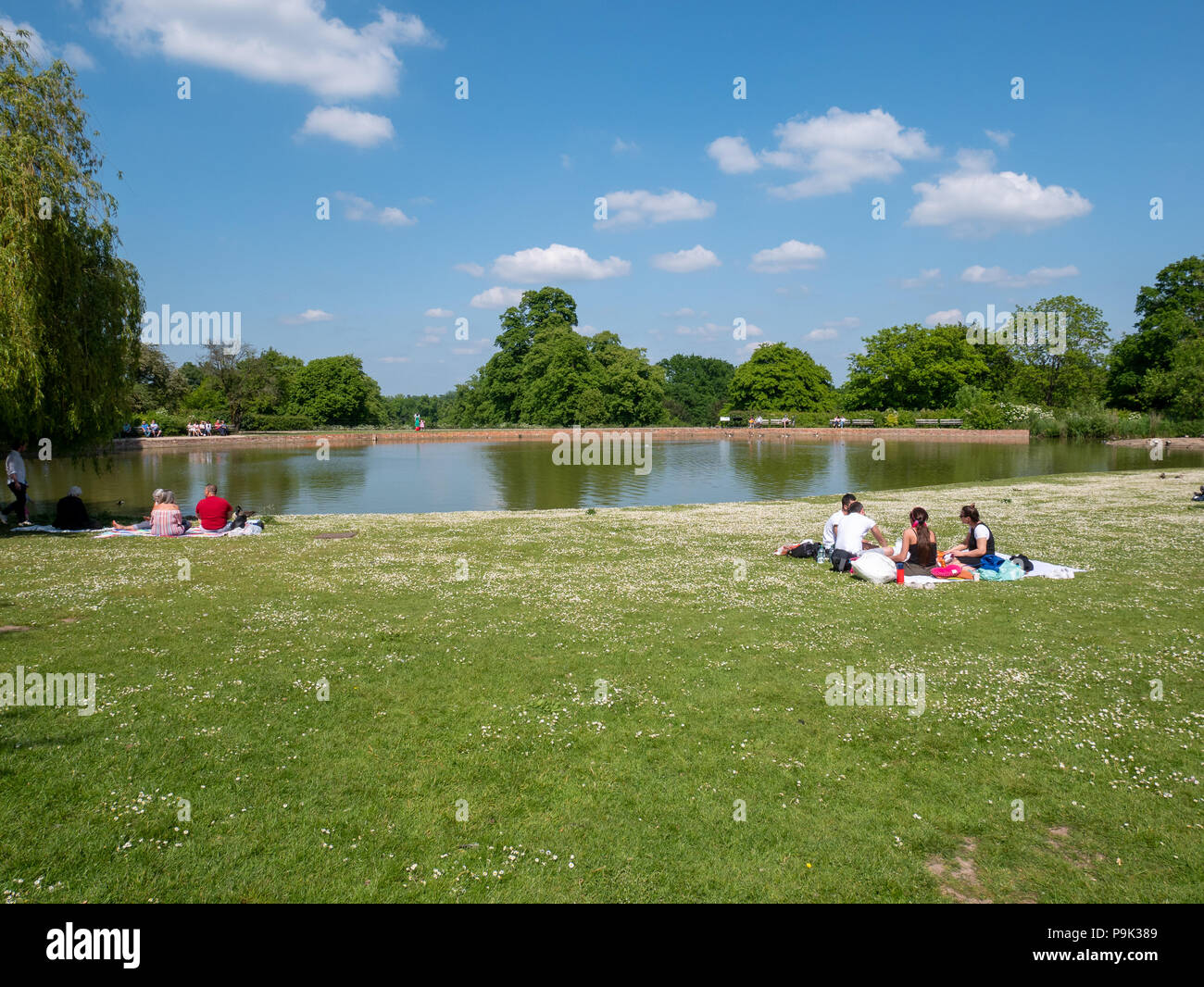 Pond at Forty Hall, Enfield, London, UK Stock Photo