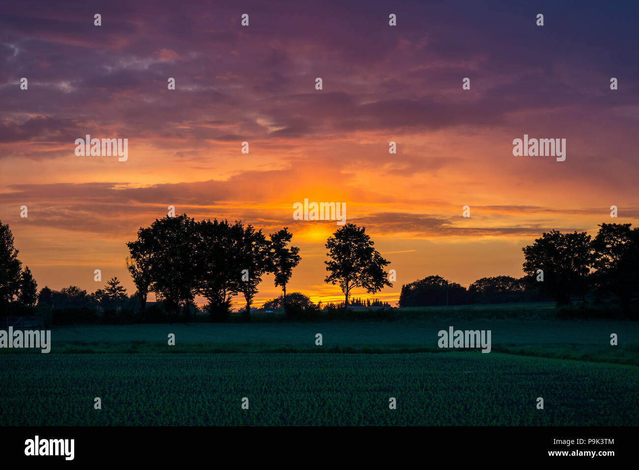 Colorful sunset sky over green fields and silhouette of trees Stock Photo