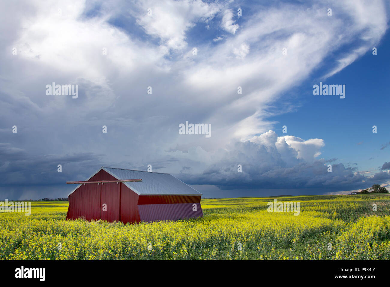 Prairie Storm Clouds in Saskatchewan Canada rural setting Stock Photo ...