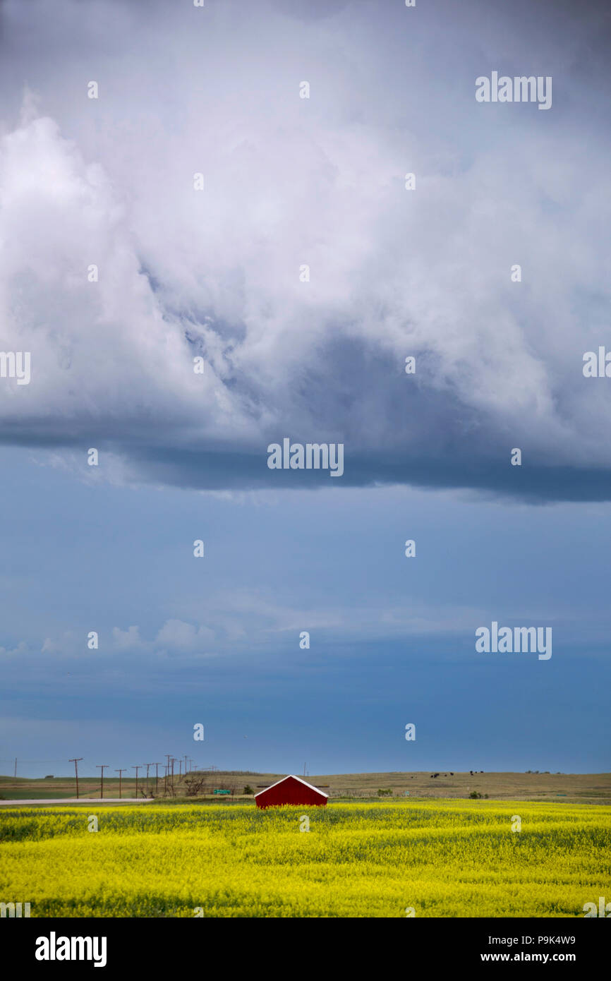 Prairie Storm Clouds in Saskatchewan Canada rural setting Stock Photo ...