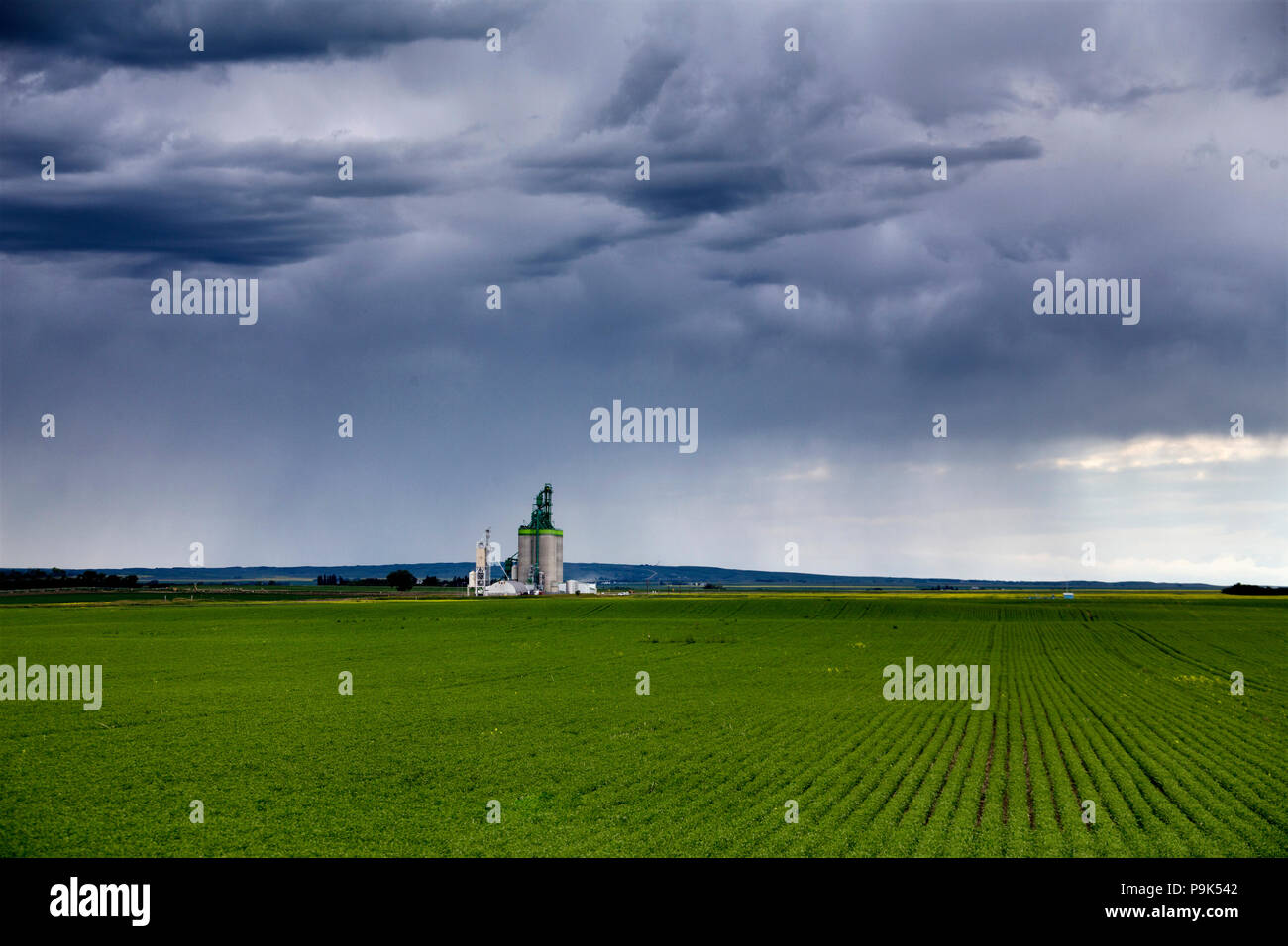 Prairie Storm Clouds in Saskatchewan Canada rural setting Stock Photo ...