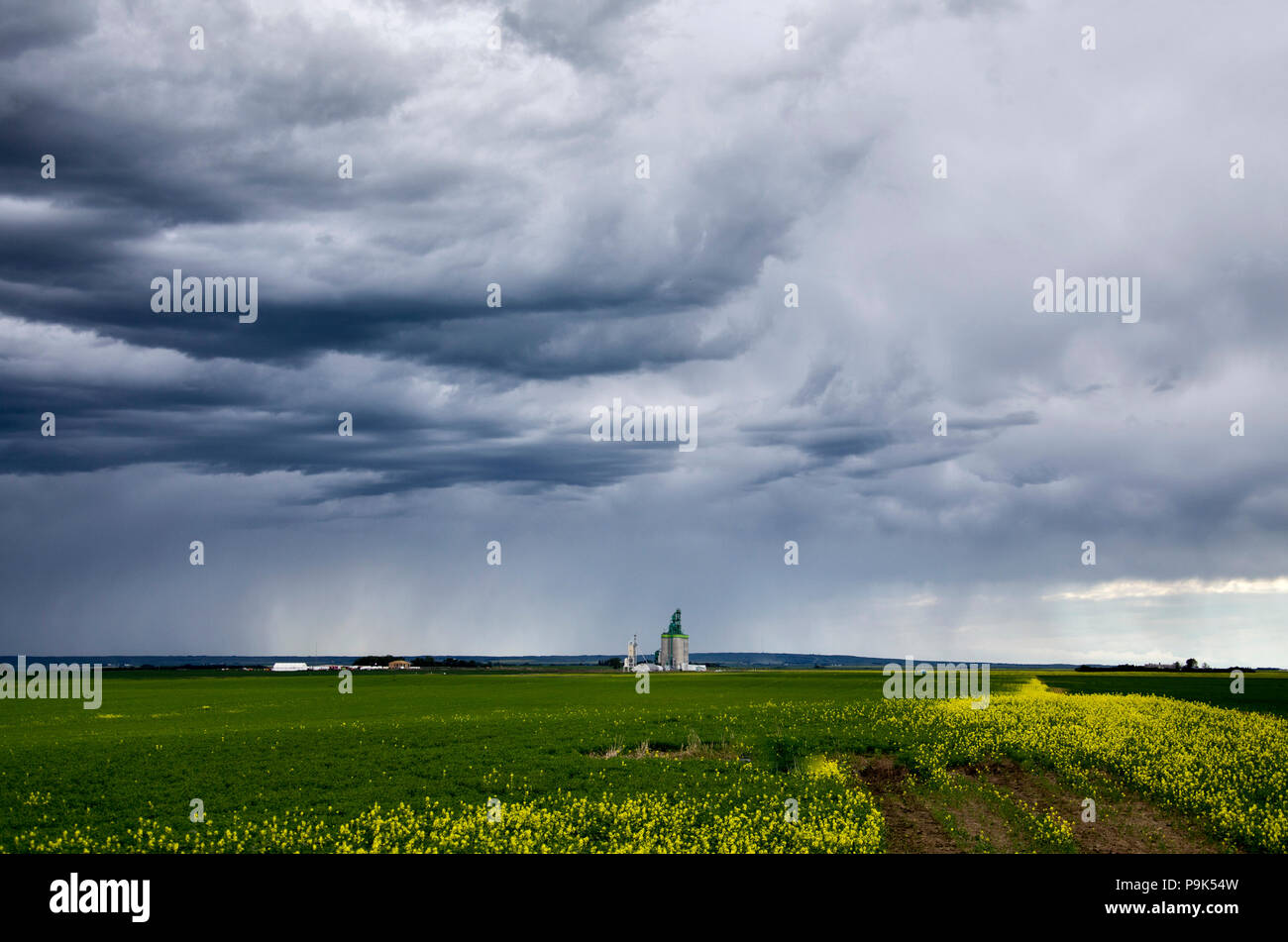 Prairie Storm Clouds in Saskatchewan Canada rural setting Stock Photo ...