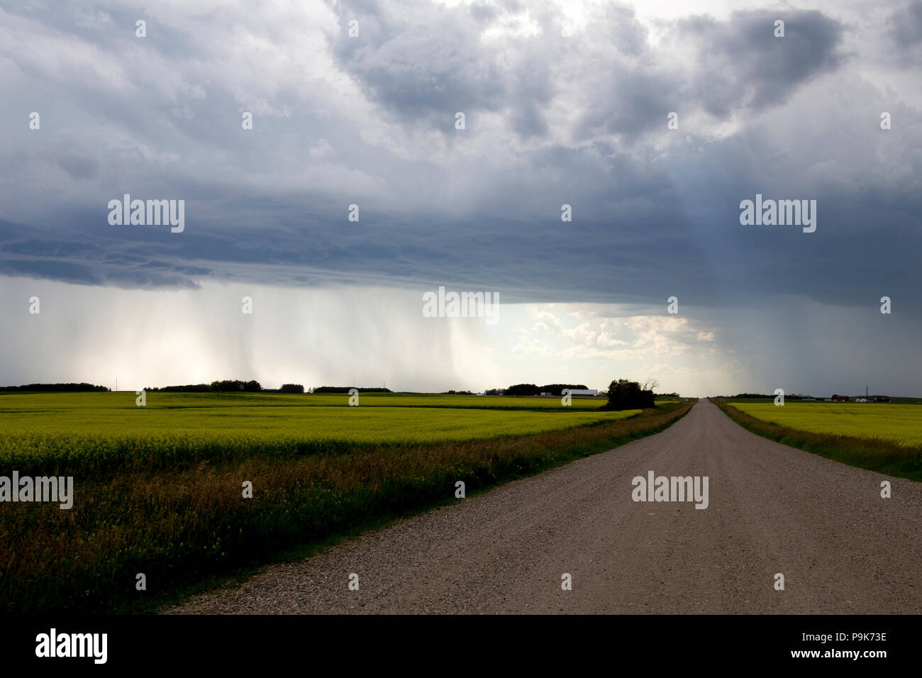 Prairie Storm Clouds in Saskatchewan Canada rural setting Stock Photo ...