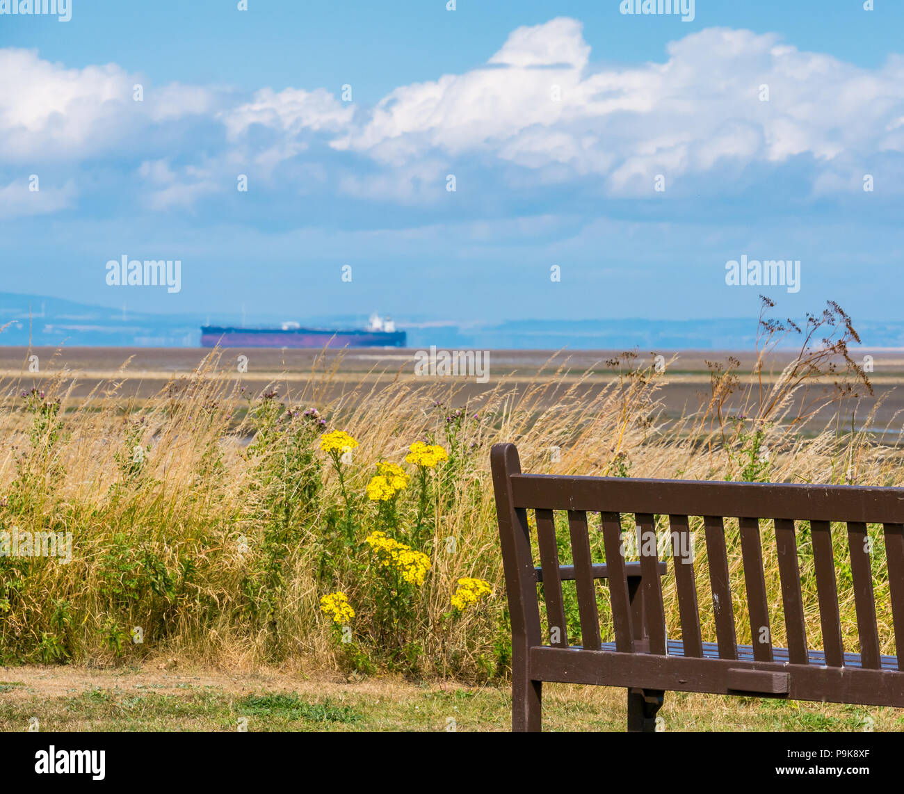 Wooden bench with view of sea, Aberlady Bay, East Lothian, Scotland, UK on sunny Summer day with blurred tanker ship on horizon in Firth of Forth Stock Photo