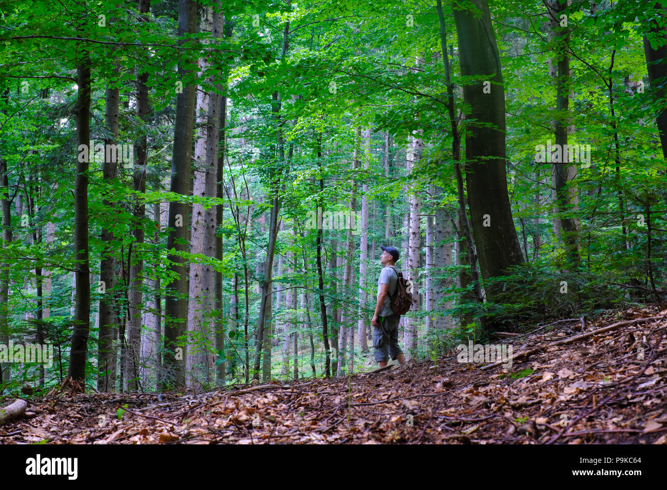 Alone man in wild forest Stock Photo