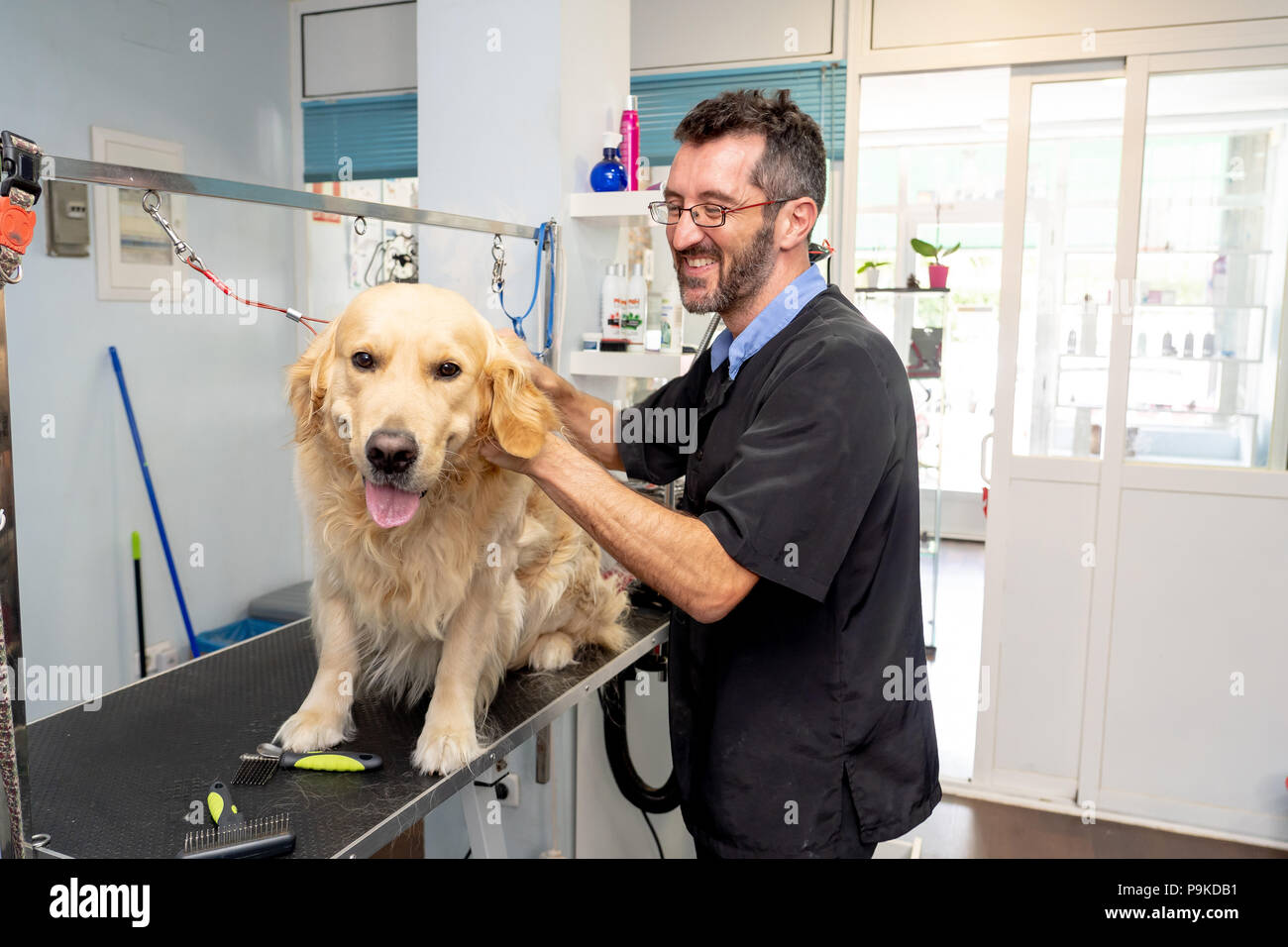 Cleaning a sale dog grooming salon