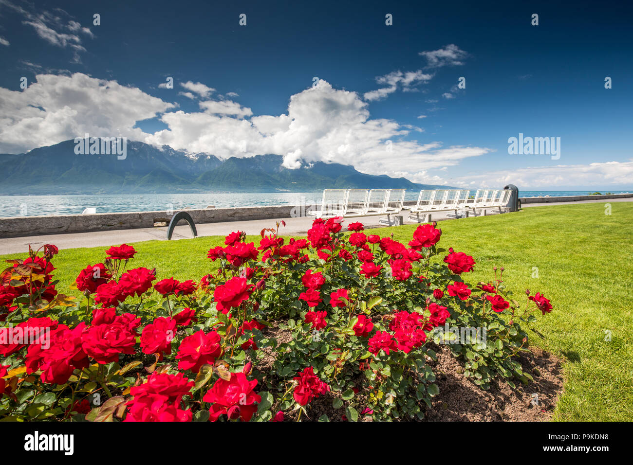 Seaside promenade in Vevey town near Montreux with Swiss Alps in background, Switzerland, Europe. Stock Photo
