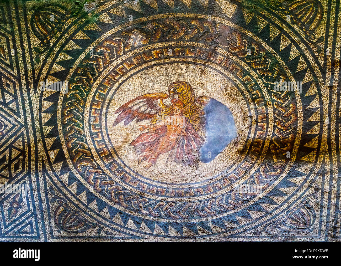 Ganymede And The Eagle Floor Mosaic At Bignor Roman Villa Bignor West ganymede-and-the-eagle-floor-mosaic-at-bignor-roman-villa-bignor-west