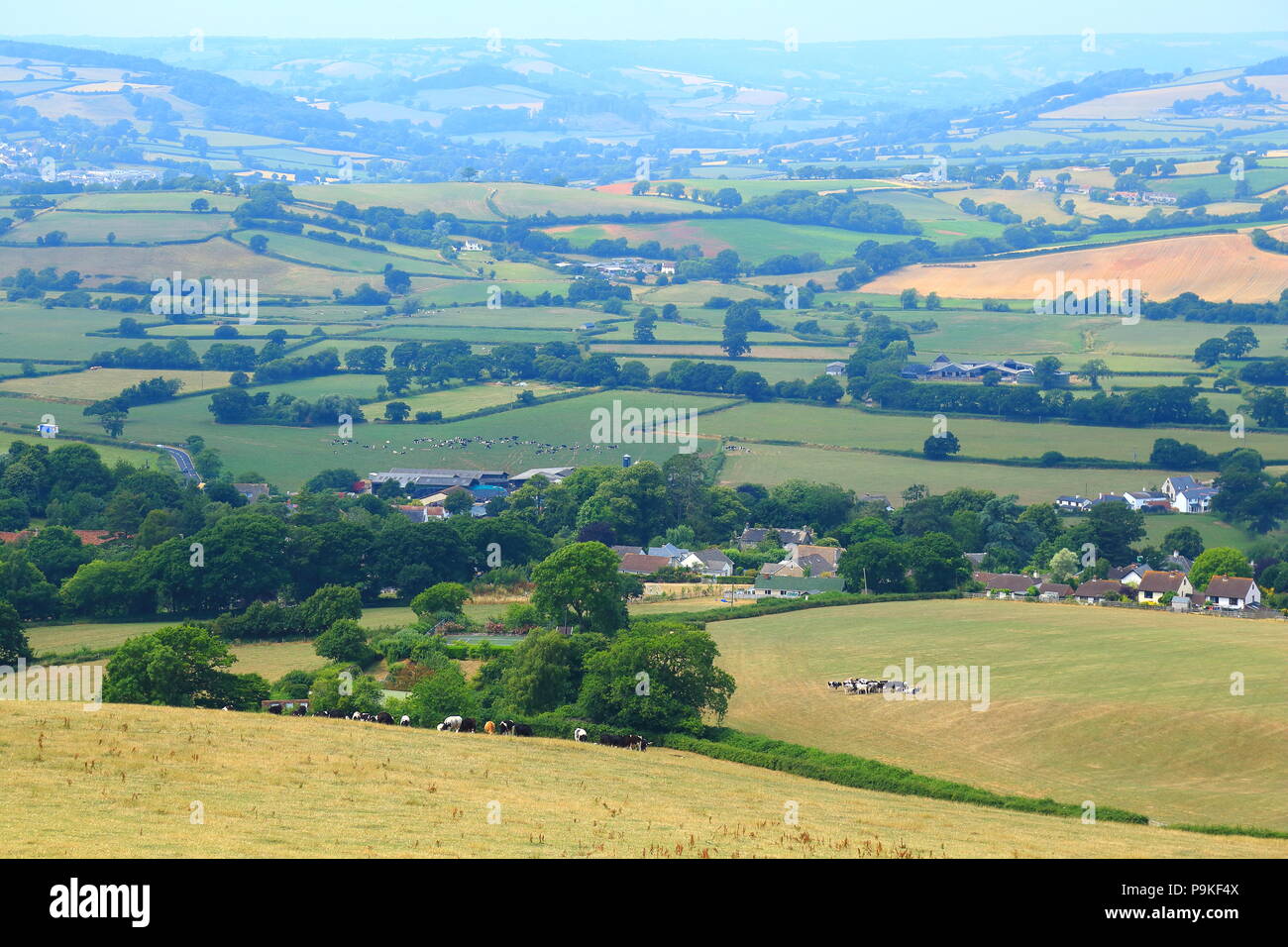 Panoramic view of Axe Valley in East Devon AONB Area of Outstanding Natural Beauty Stock Photo