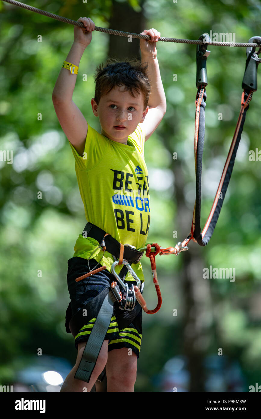Portrait of a handsome boy on a rope park among trees. Children summer ...