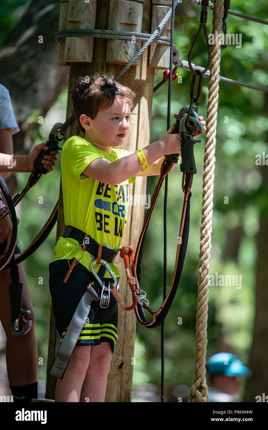 Portrait of a handsome boy on a rope park among trees. Children summer ...