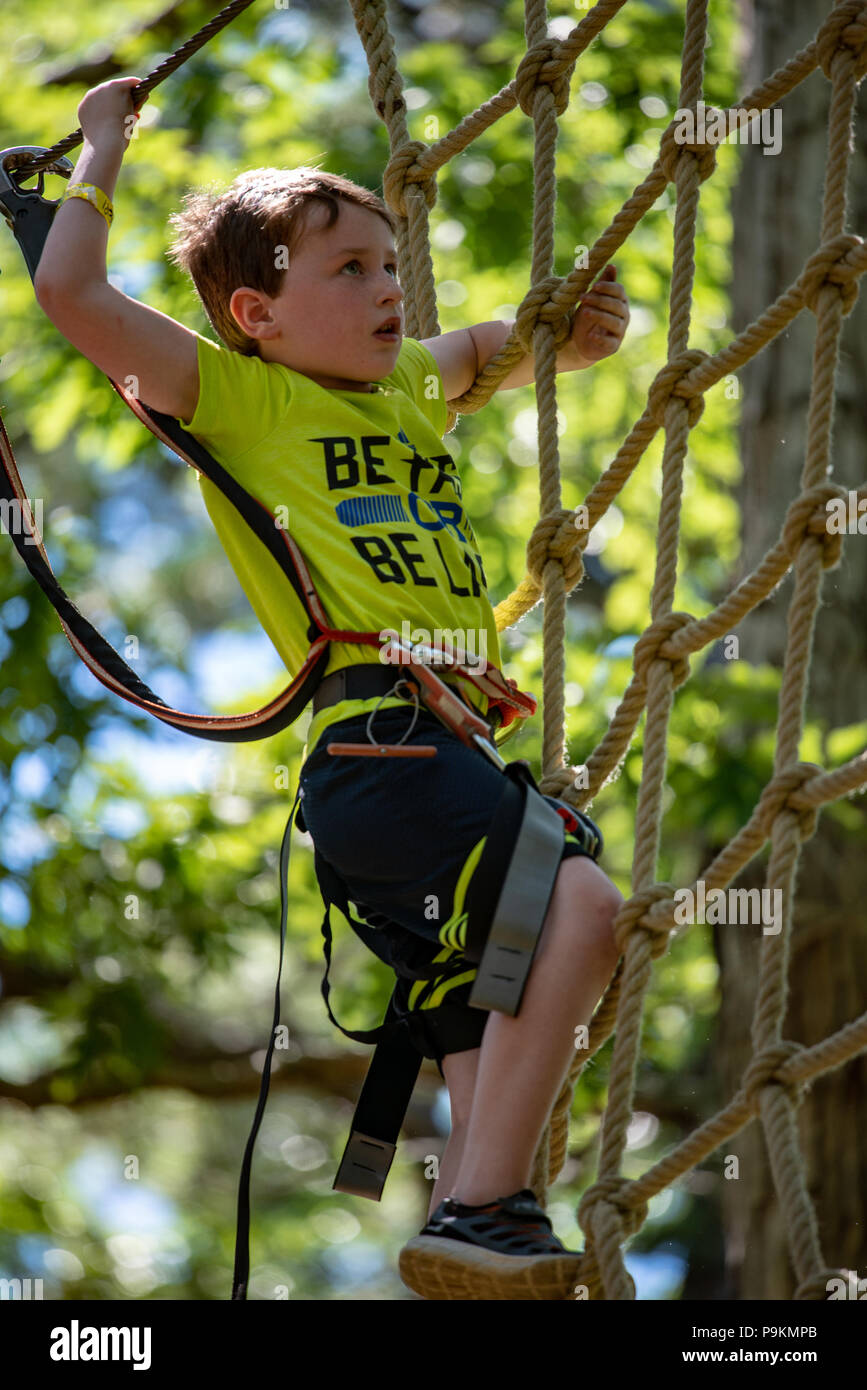 Portrait of a handsome boy on a rope park among trees. Children summer ...