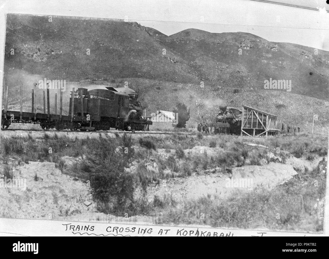 308 Taupo Totara Timber Company trains crossing at Kopakorahi ATLIB 335746 Stock Photo