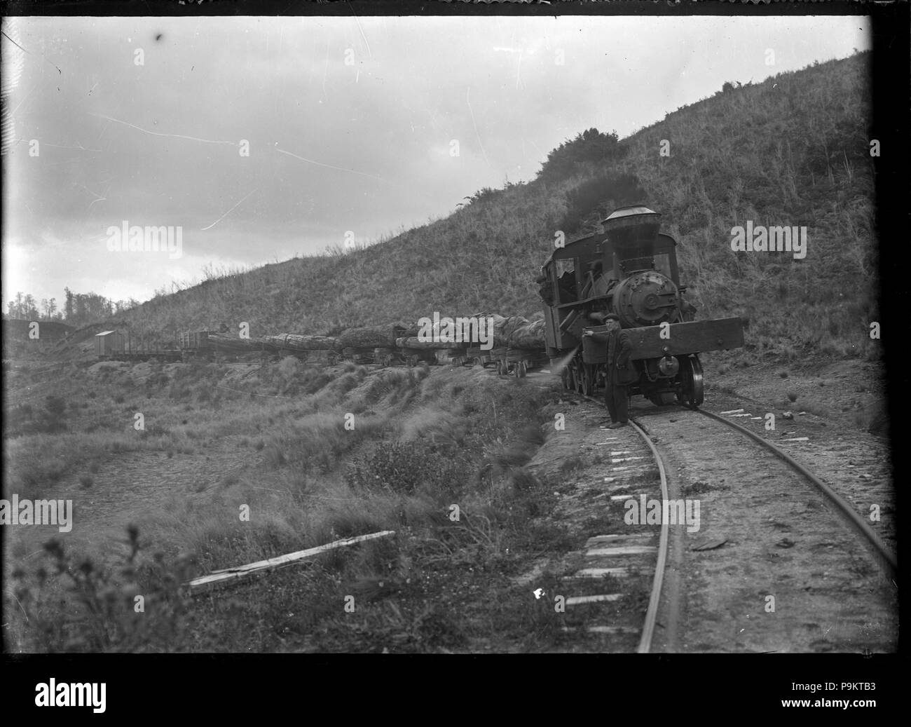 308 Taupo Totara Timber number 9 steam locomotive towing laden logging wagons ATLIB 292947 Stock Photo