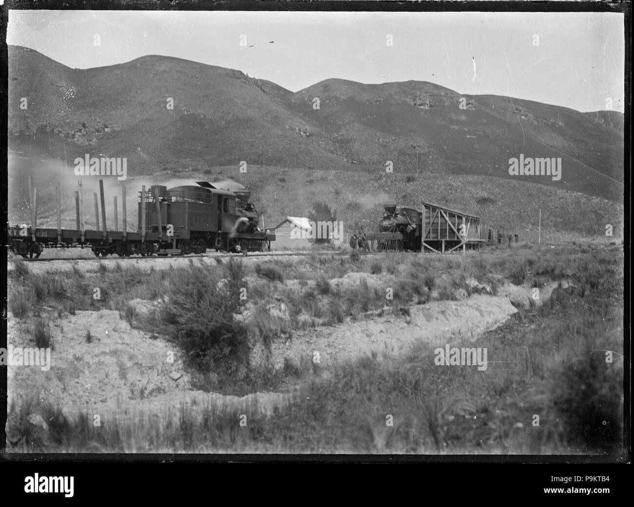 308 Taupo Totara Timber Company trains hauled by Heisler steam locomotives crossing at Kopakorahi ATLIB 314673 Stock Photo