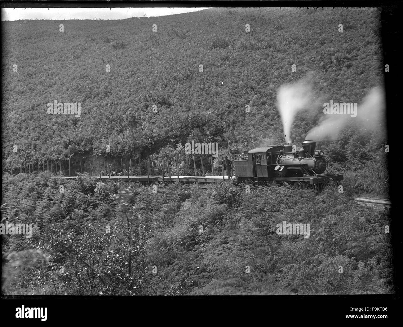 308 Taupo Totara Timber number 9 steam locomotive, on the Taupo Totara Timber railway, Waikato region ATLIB 292943 Stock Photo