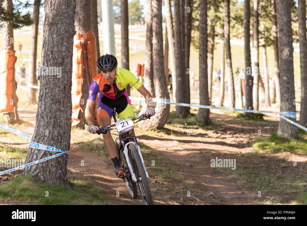 xcc mtb