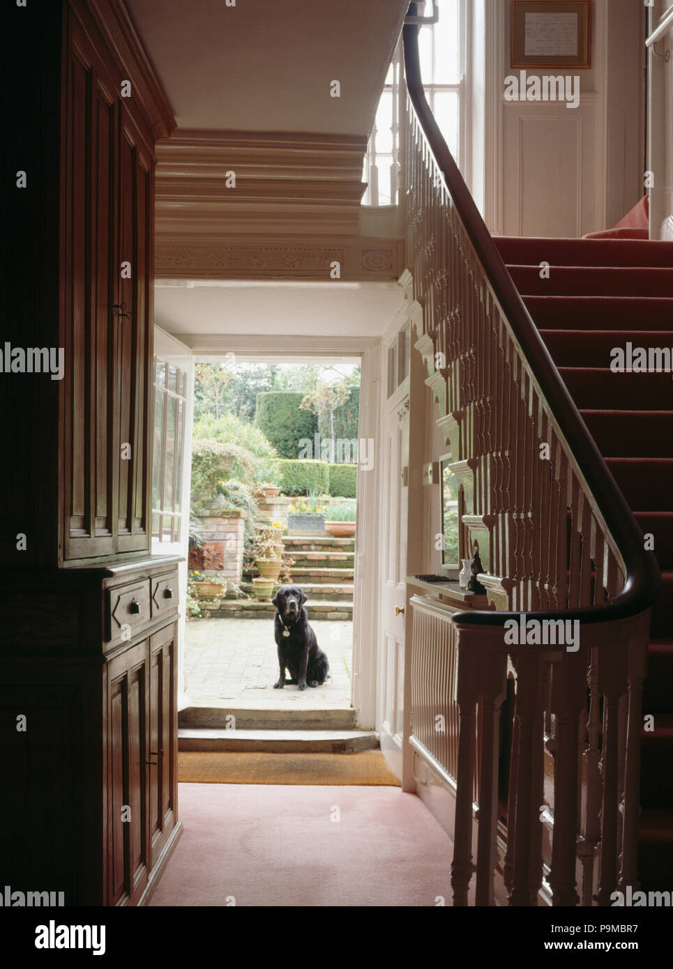 Large cupboard in country hall with dog sitting in open doorway Stock Photo