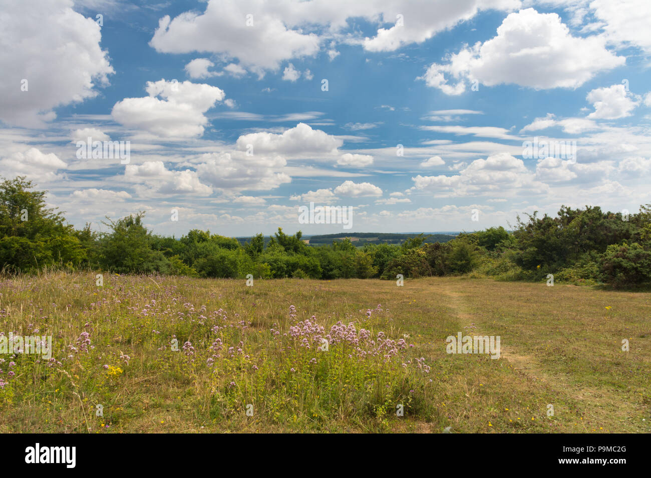 Stockbridge Down countryside landscape during summer in Hampshire, UK Stock Photo