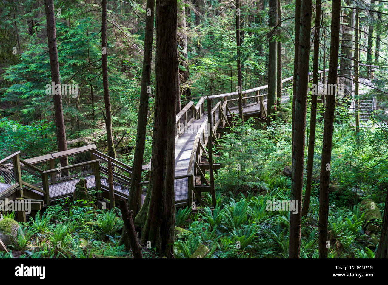 Capilano suspension bridge park, Vancouver, British Columbia, Canada, Saturday, May 26, 2018. Stock Photo