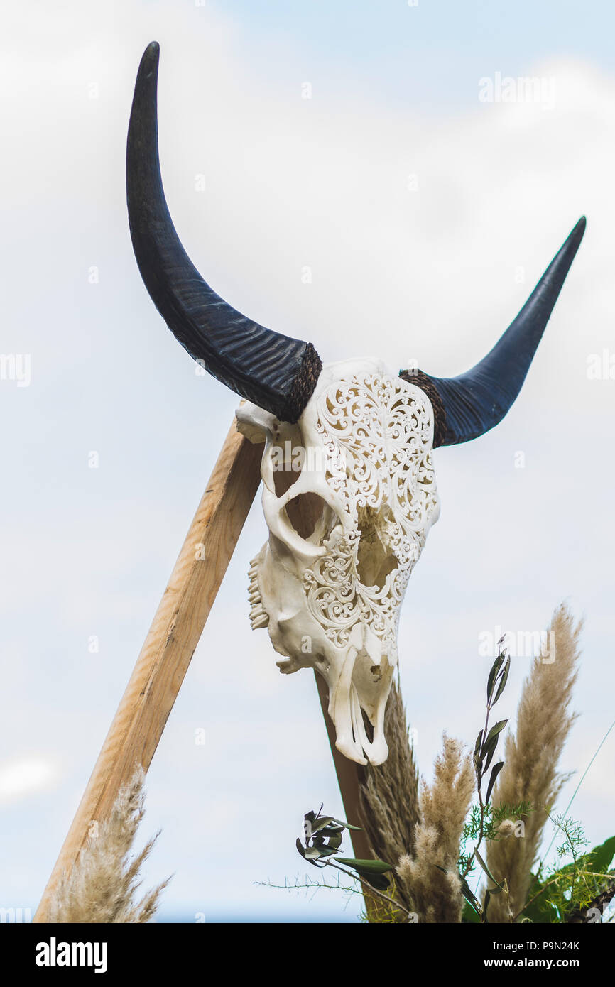 Beach Wedding Ceremony In Boho Style Decorated With Cow Skull