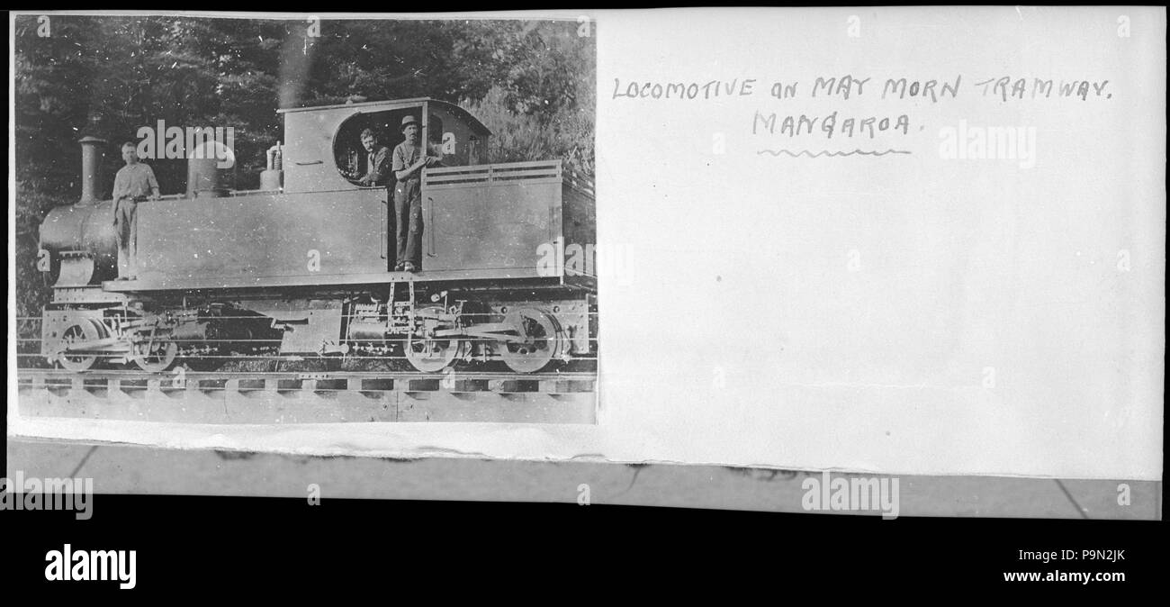 303 Steam locomotive on the May Morn tramway, Mangaroa ATLIB 337302 Stock Photo