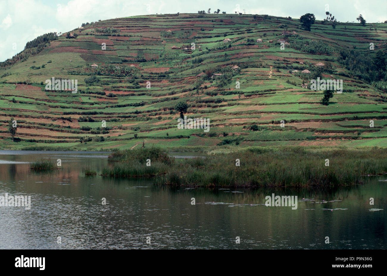 Farmland on the slopes of an extinct volcano and Lake Bunyoni. Stock Photo