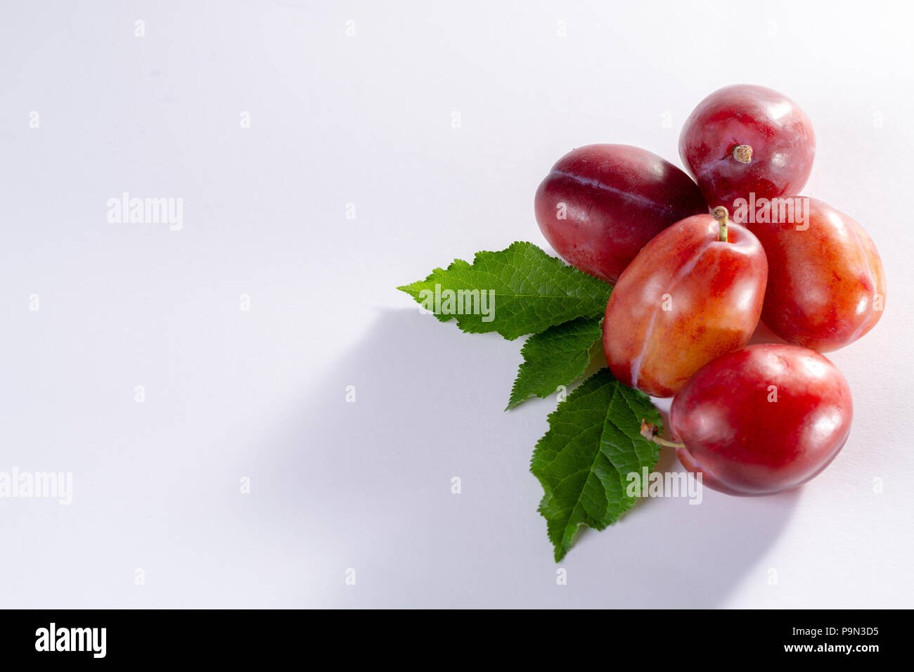 Group of ripe oval Victoria plums from England on white background with leaves Stock Photo Alamy
