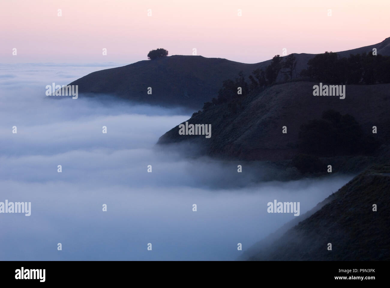 A Pacific Coast fog shrouds redwood and oak woodlands at Big Sur. Stock Photo