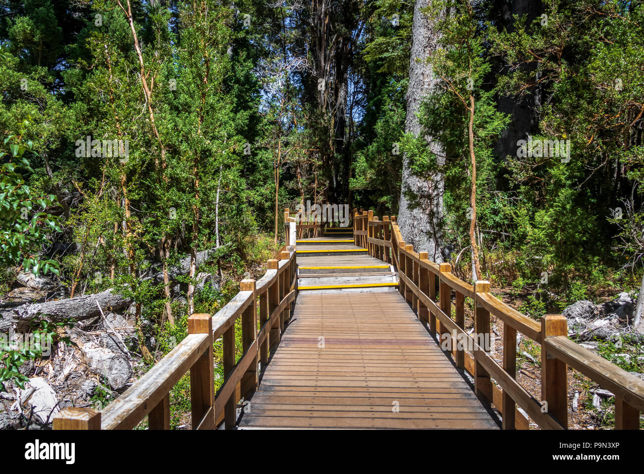 Boardwalk path at Arrayanes National Park - Villa La Angostura, Patagonia, Argentina Stock Photo