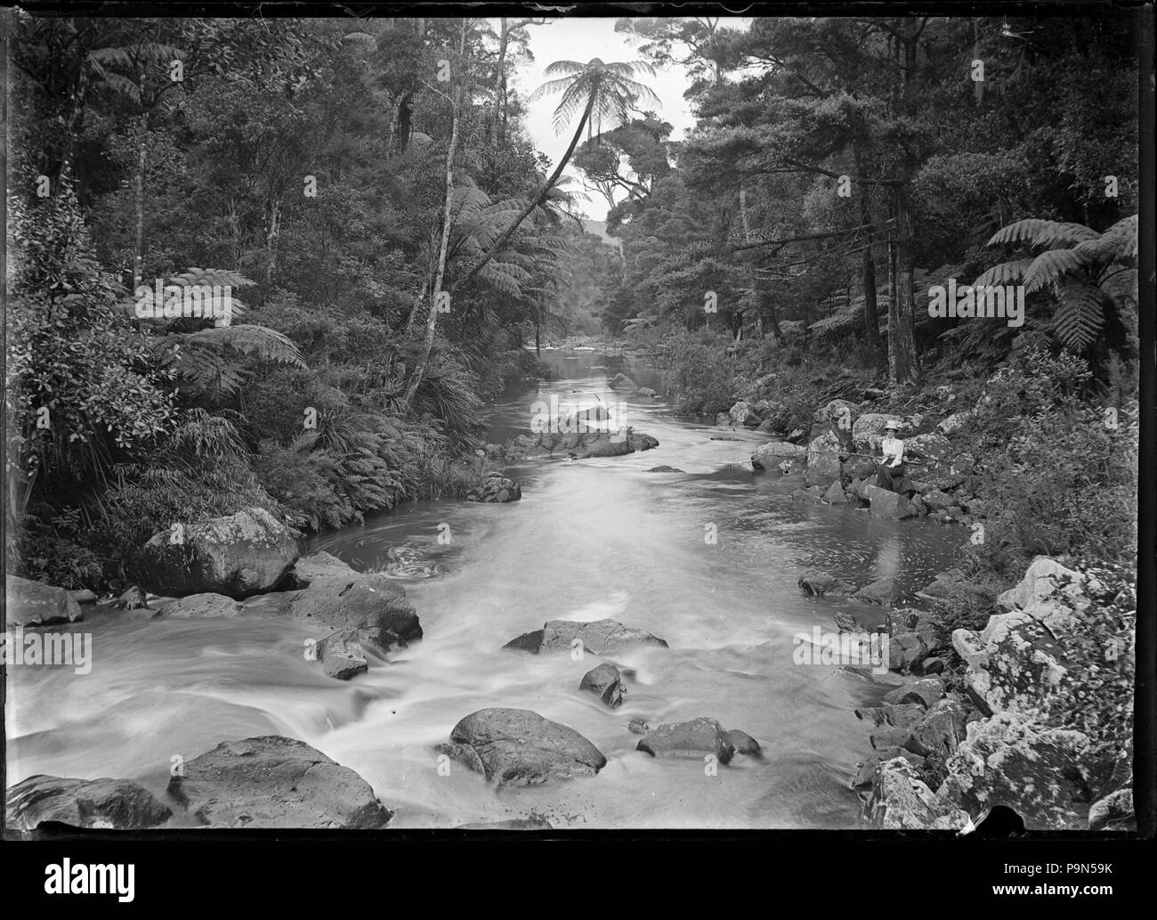 324 View of the Whangarei River (now known as the Hatea River). ATLIB 287693 Stock Photo