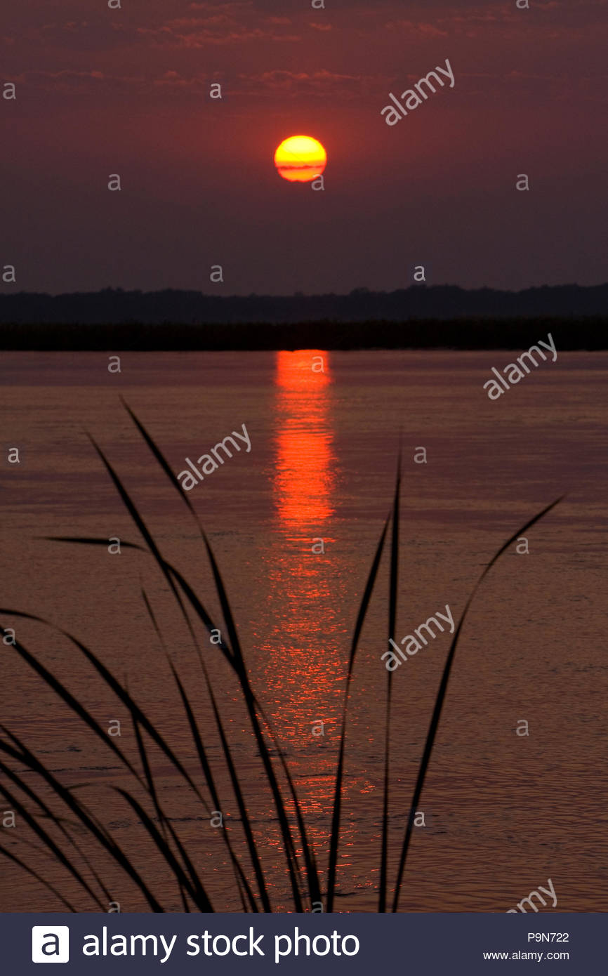 Scenic sunrise on the Zambezi river. Stock Photo
