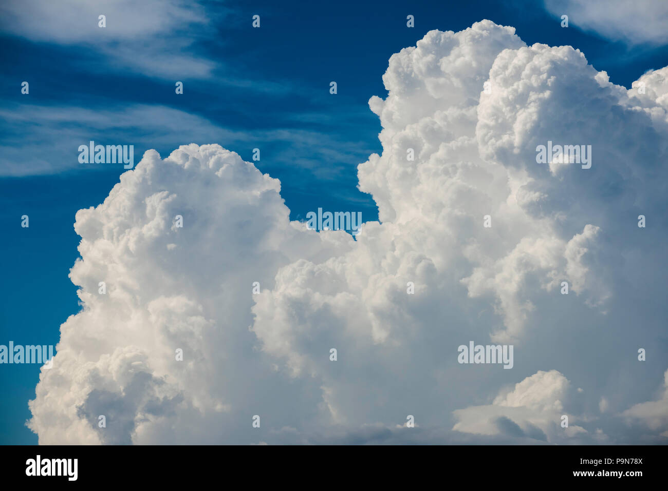 Building cumulus clouds, thunderstorms, North America,by Bruce Montagne/Dembinsky Photo Assoc Stock Photo