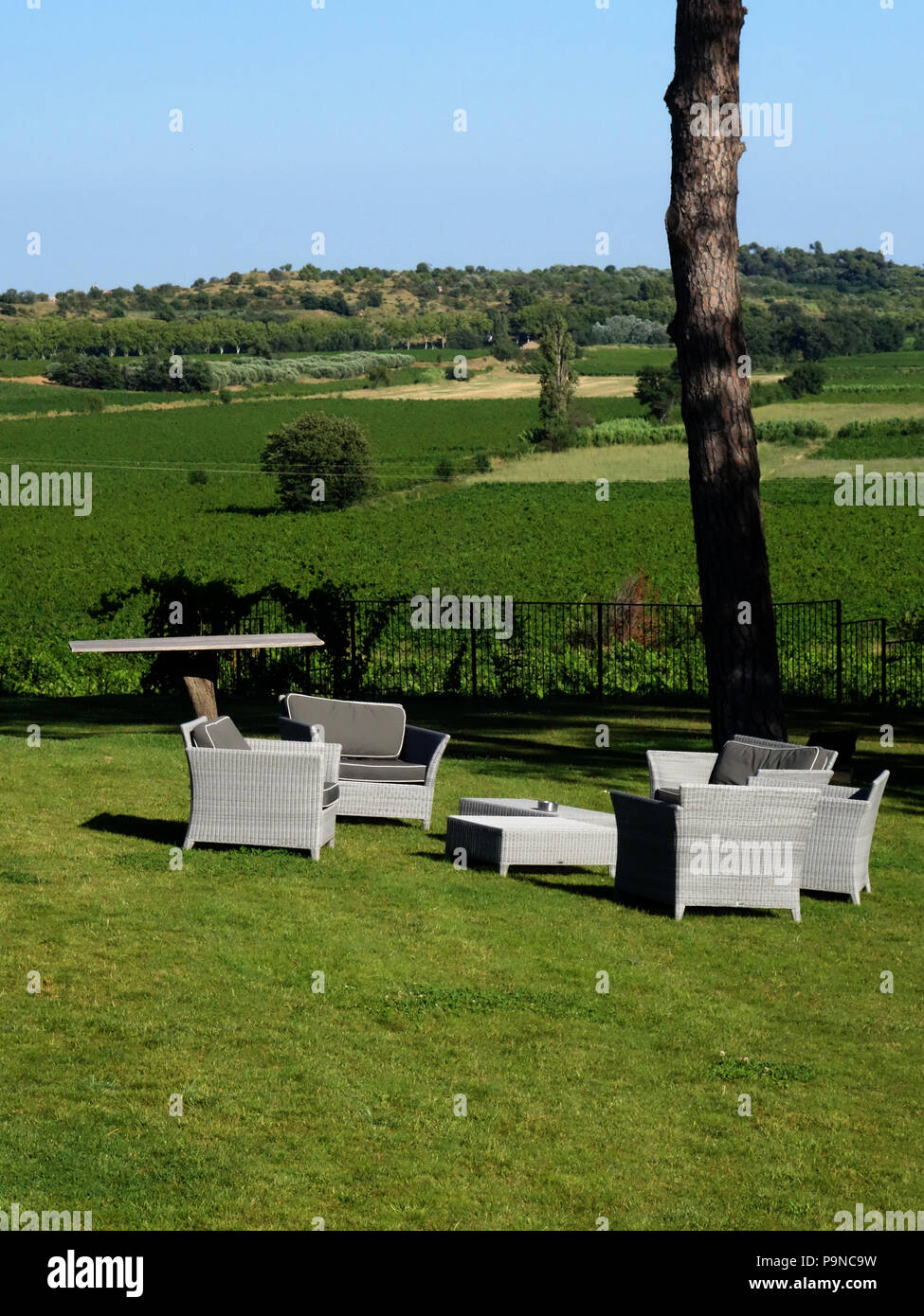 Wonderful places to sit and relax looking across the millions of vines owned by Château St Pierre de Serjac, near Magalas. Stock Photo