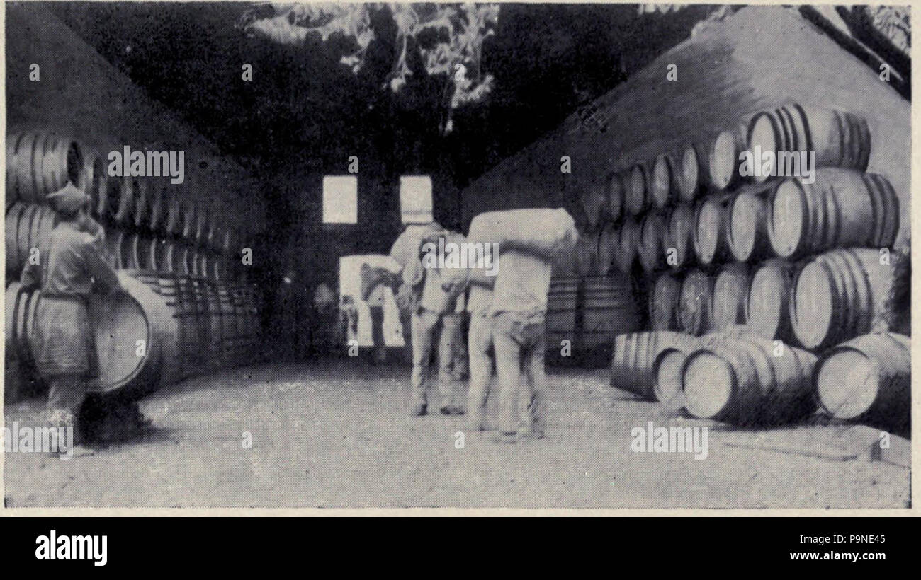 1 &amp;quot;Borachos,&amp;quot; or Wine Skins, MON 1909 Stock Photo - Alamy